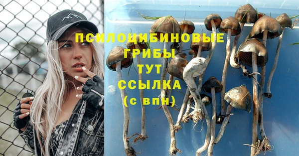 соль ск Алексин