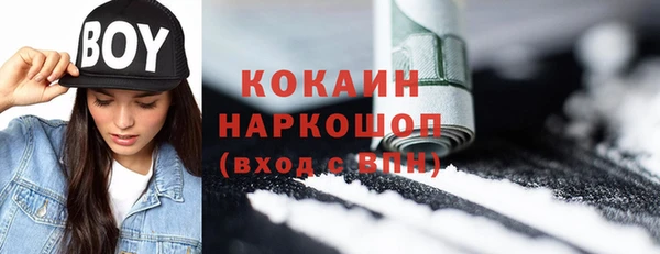 соль ск Алзамай