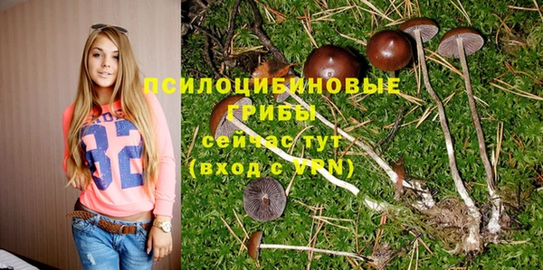 соль ск Алексин