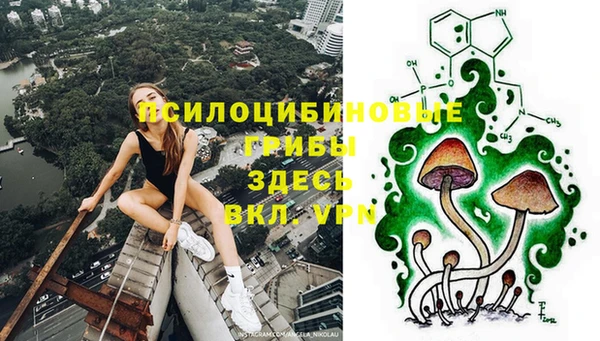 соль ск Алексин